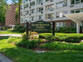 20 Hammond Pond