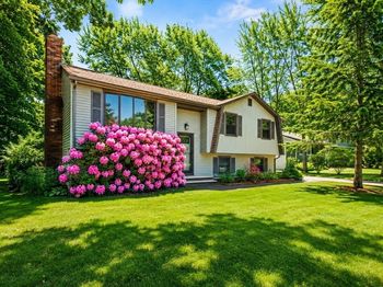 41 William Kelly Rd