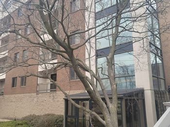 24 Corey St