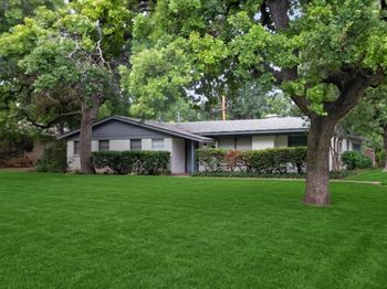 341  Arcadia Street 