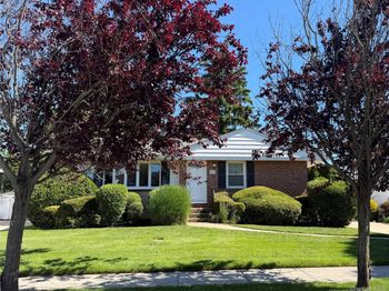 41 Elwood Avenue