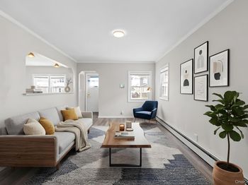 20 Dewitt Street
