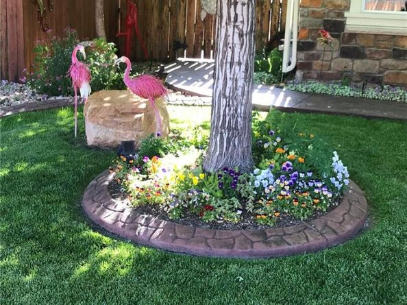 13200 Uinta Street, Thornton CO 80602