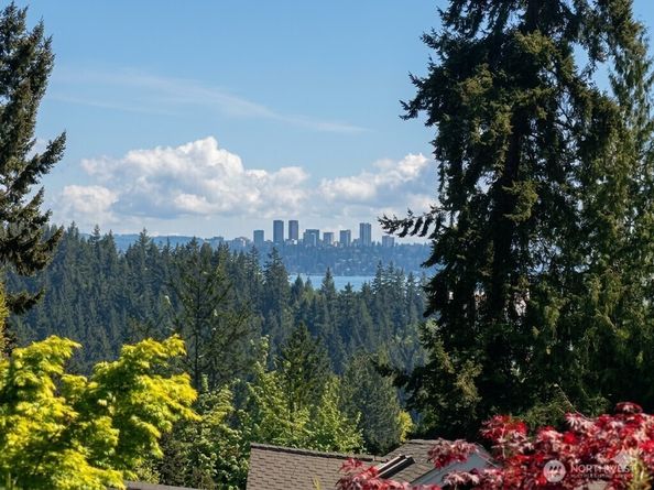 10023 NE 28th Place, Bellevue WA 98004