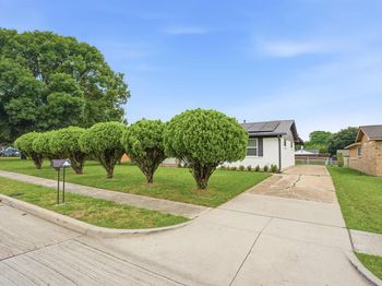 1513  Japonica Lane 