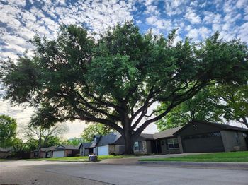 2822  Sunny Hill Lane 