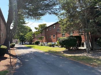 50 Bryon Road