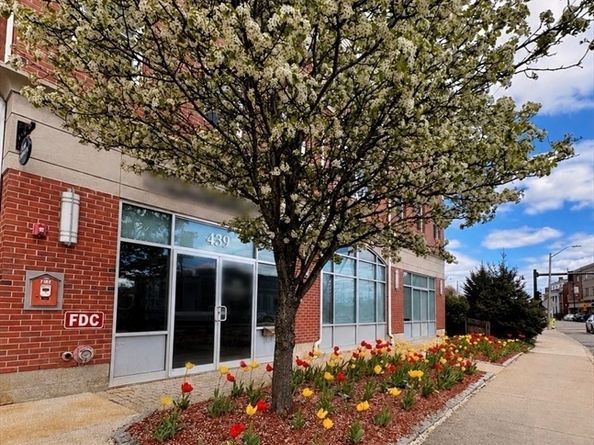 441 Washington St 203, Dedham MA 02026