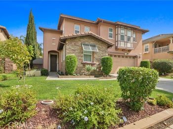 5071 Buckwheat