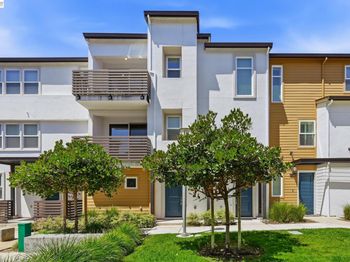 39482 Capstone Cmn
