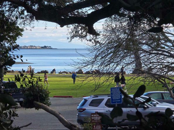 1321 Webster St D119, Alameda CA 94501