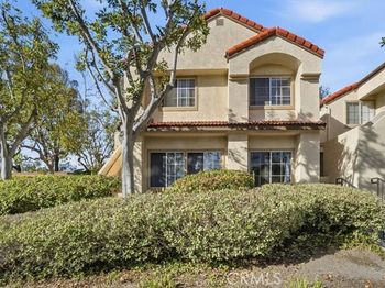21204 Camelia