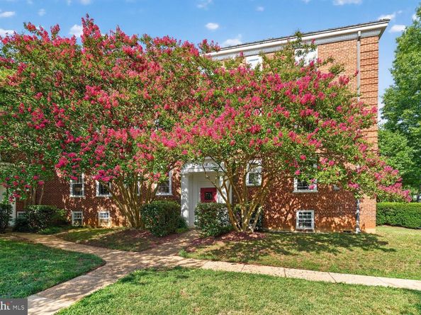 3815 Rodman Street NW B14, Washington DC 20016