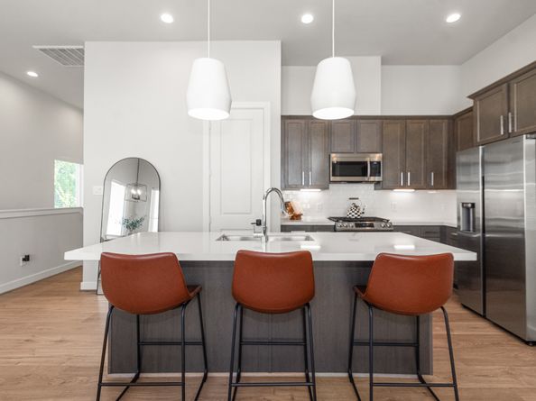 816 Sienna Palm Lane, Houston TX 77008