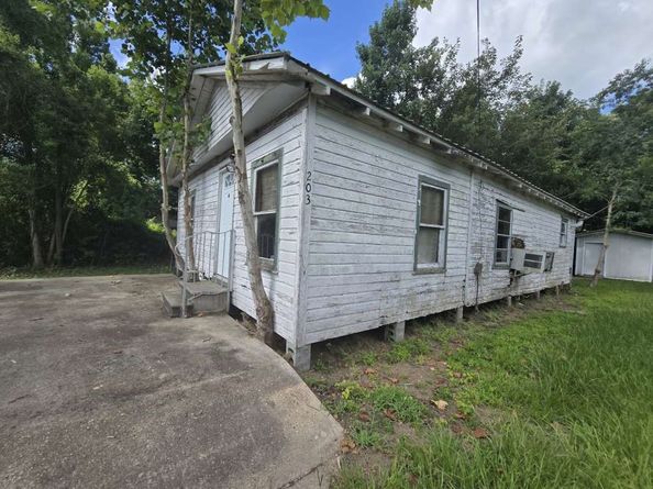 203 Cedar Circle, Daisetta TX 77357