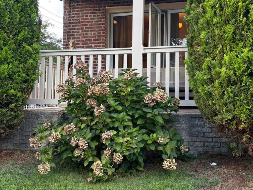 18103 145th Road, Springfield Gardens NY 11413
