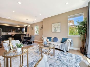 347 Bella Ridge Terrace