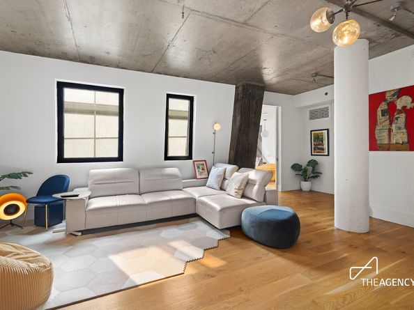 115 Norfolk Street 301, New York NY 10002