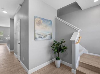 11241 Lost Maples TRL