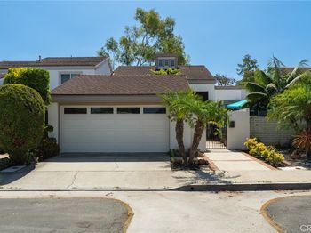 11 Redwood Tree