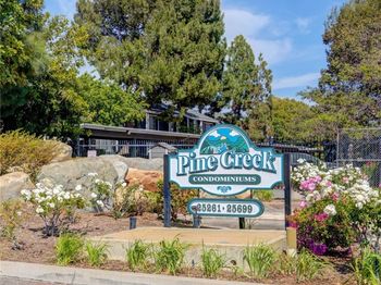 25655 Pine Creek Lane