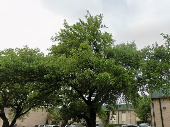 2600 Penny LN 207, Austin TX 78757