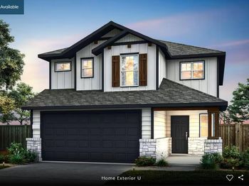 5219 Monarda Mint DR