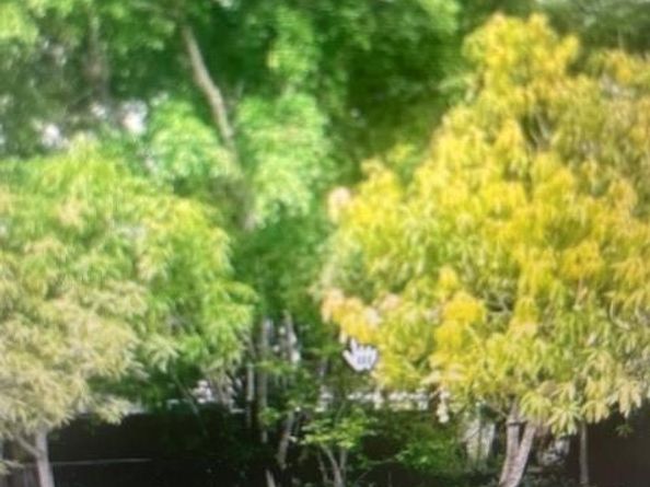 901 NW 24th Ave, Fort Lauderdale FL 33311