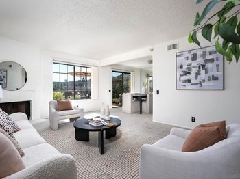 3917 Caminito Del Mar Cove