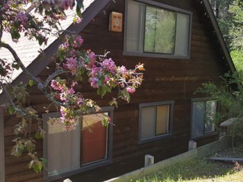 5877 Empire Grade Road