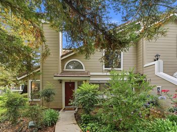 2561 Yerba Bank