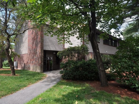 505 Tumbling Hawk 505, Acton MA 01718