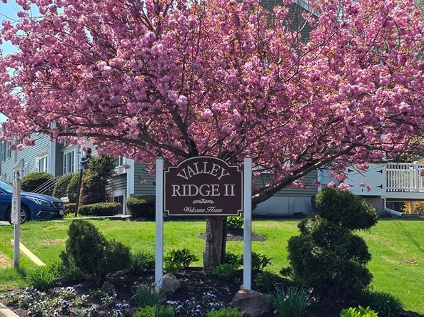 1603 Irving Rd 1603, Randolph MA 02368
