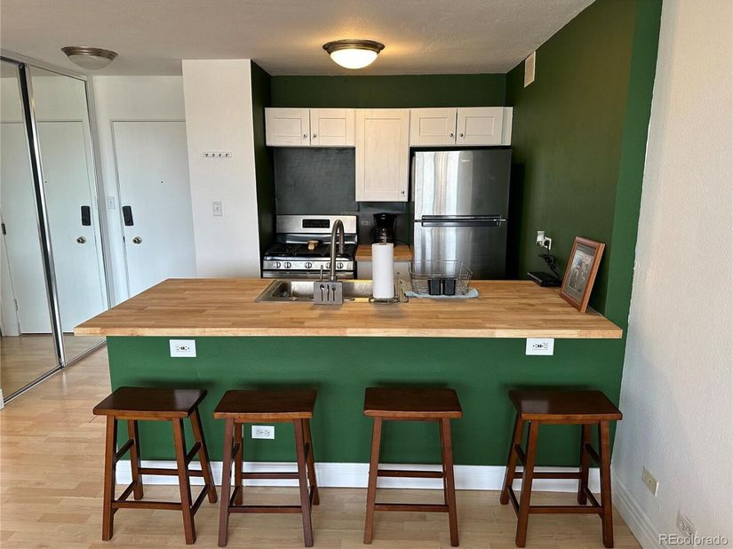 1196 N Grant Street 507, Denver CO 80203
