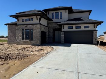 3611 Blue Mistflower