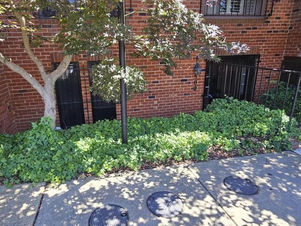 502 Brummel Court NW, Washington DC 20012