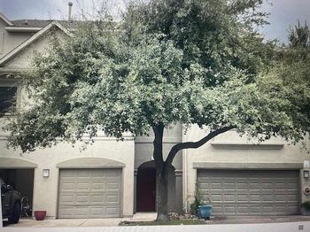 11203 Ranch Road 2222
