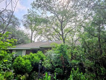7705 Wynne LN