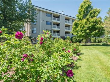 255 North Rd