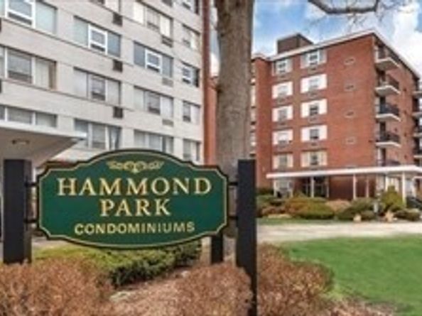 20 Hammond 102, Newton MA 02467
