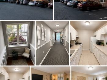 31 Symonds St
