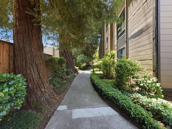 1963 Rock Street