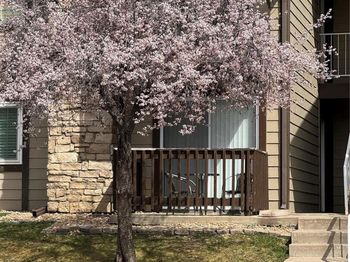 1850 S Pitkin Circle