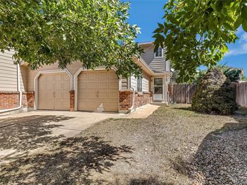 12642 Elm Street
