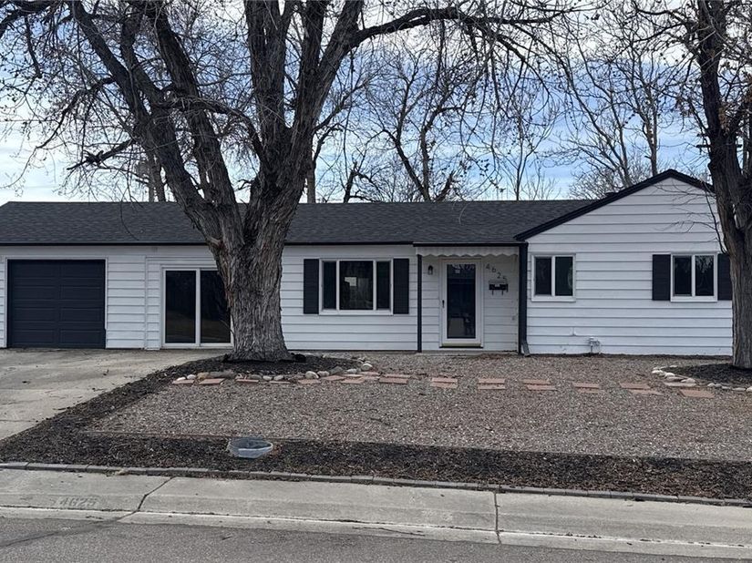 4625 Webster Street, Wheat Ridge CO 80033