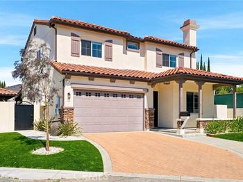 7861 Fluffy Duckling Lane