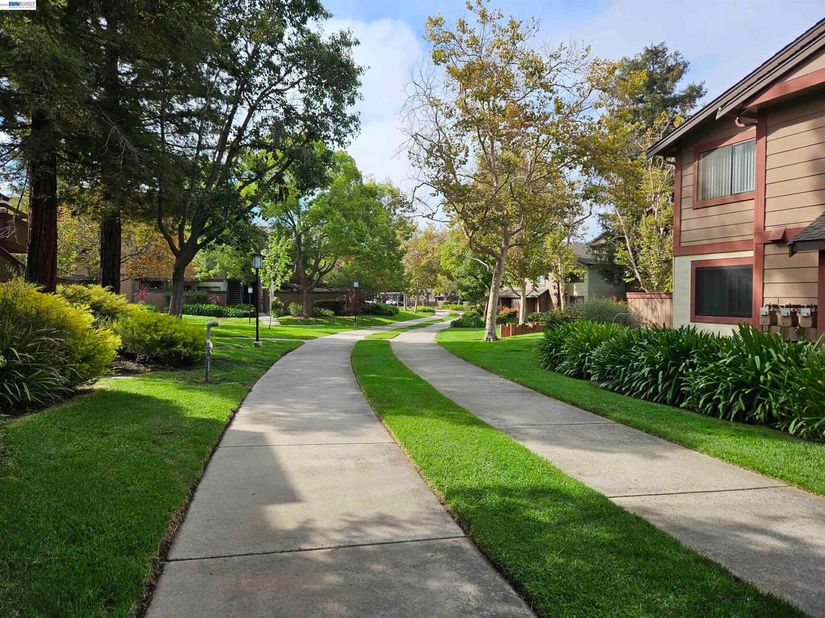 247 E Warren Cmn, Fremont CA 94539