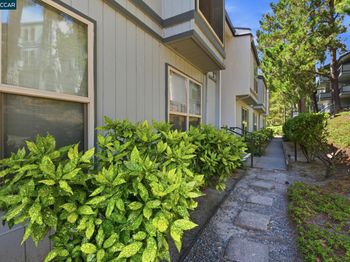 2087 Ascot Dr