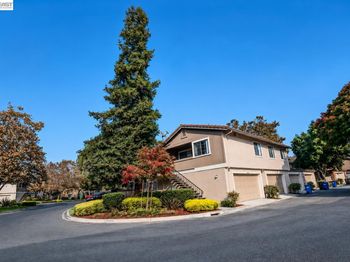 32844 Arbor Vine Dr