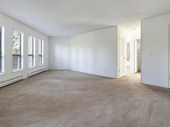 39400 Albany Common